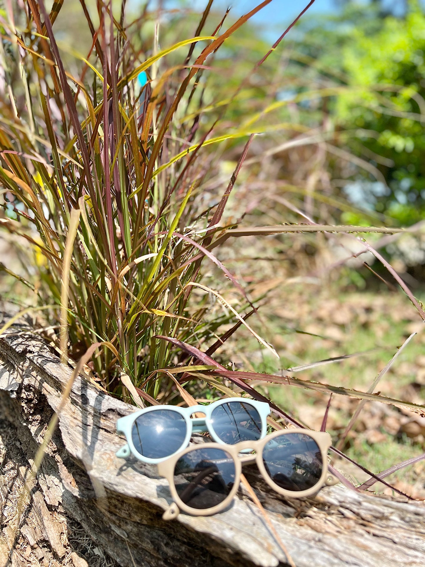 sidney sunnies